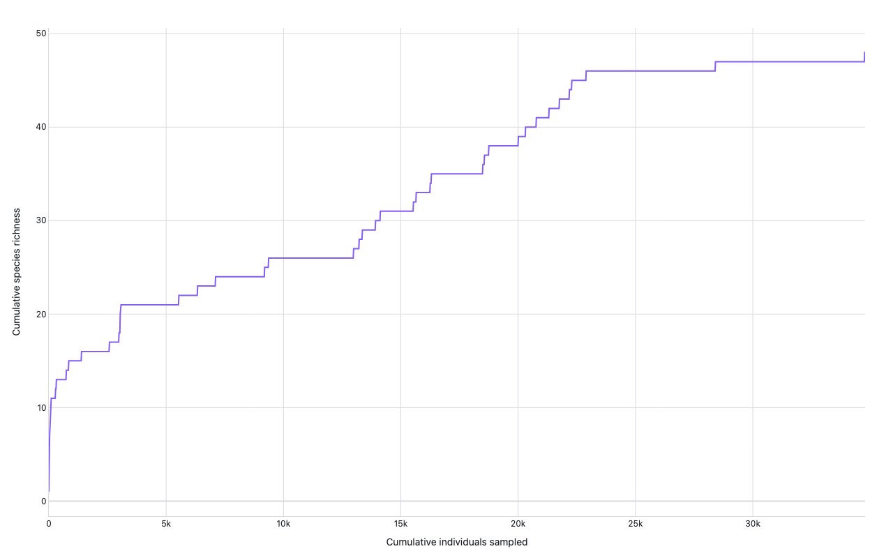 Species-accumulation curve showing cumulative species richness vs cumulative individuals sampled; curve flattens toward asymptote around 25 species