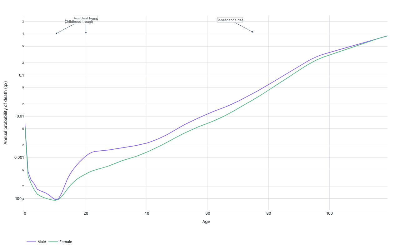 Log-scale line chart of annual probability of death by age for males and females, annotating the accident hump in young adulthood, childhood trough, and senescence rise