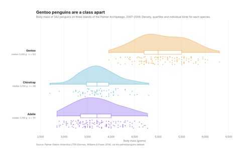 Raincloud plot of penguin body mass for Adelie, Chinstrap and Gentoo penguins, each with a half violin above a box plot and a cloud of individual points below
