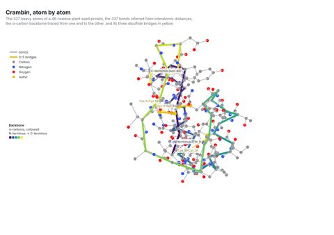 Ball-and-stick model of the protein crambin: grey, blue, red and yellow spheres for carbon, nitrogen, oxygen and sulfur atoms joined by grey bonds, with the backbone drawn as a thick tube coloured from purple to yellow and three disulfide bridges labelled