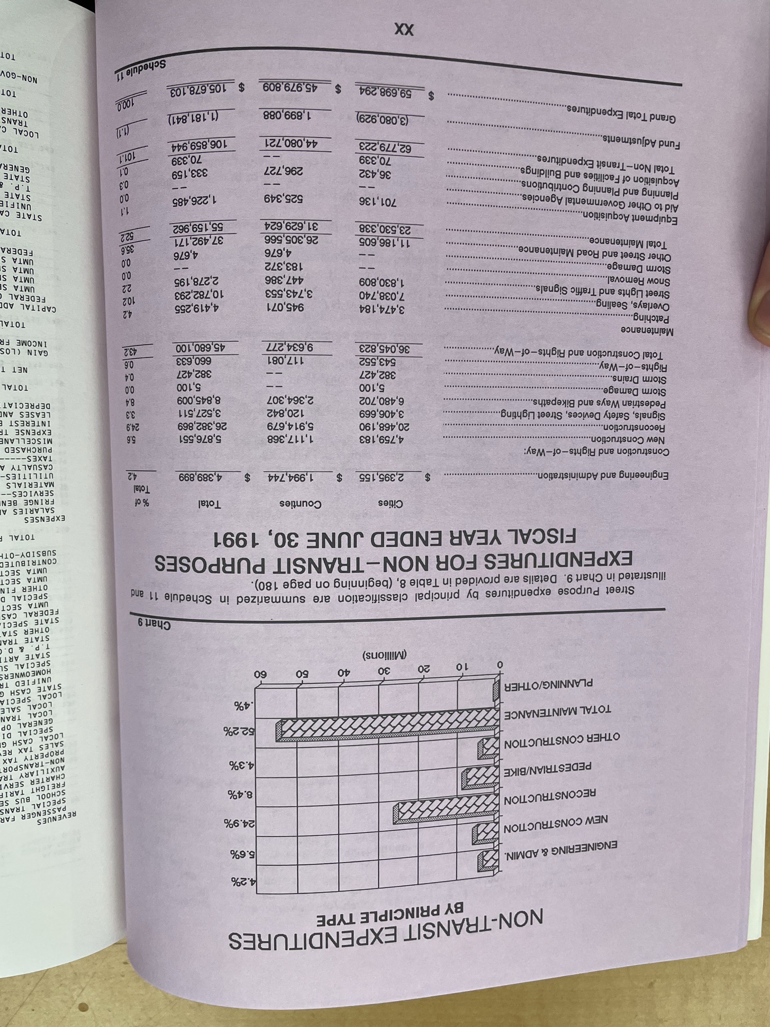Picture of a 1990 census that is clearly printed from a computer and has 3D bar charts.